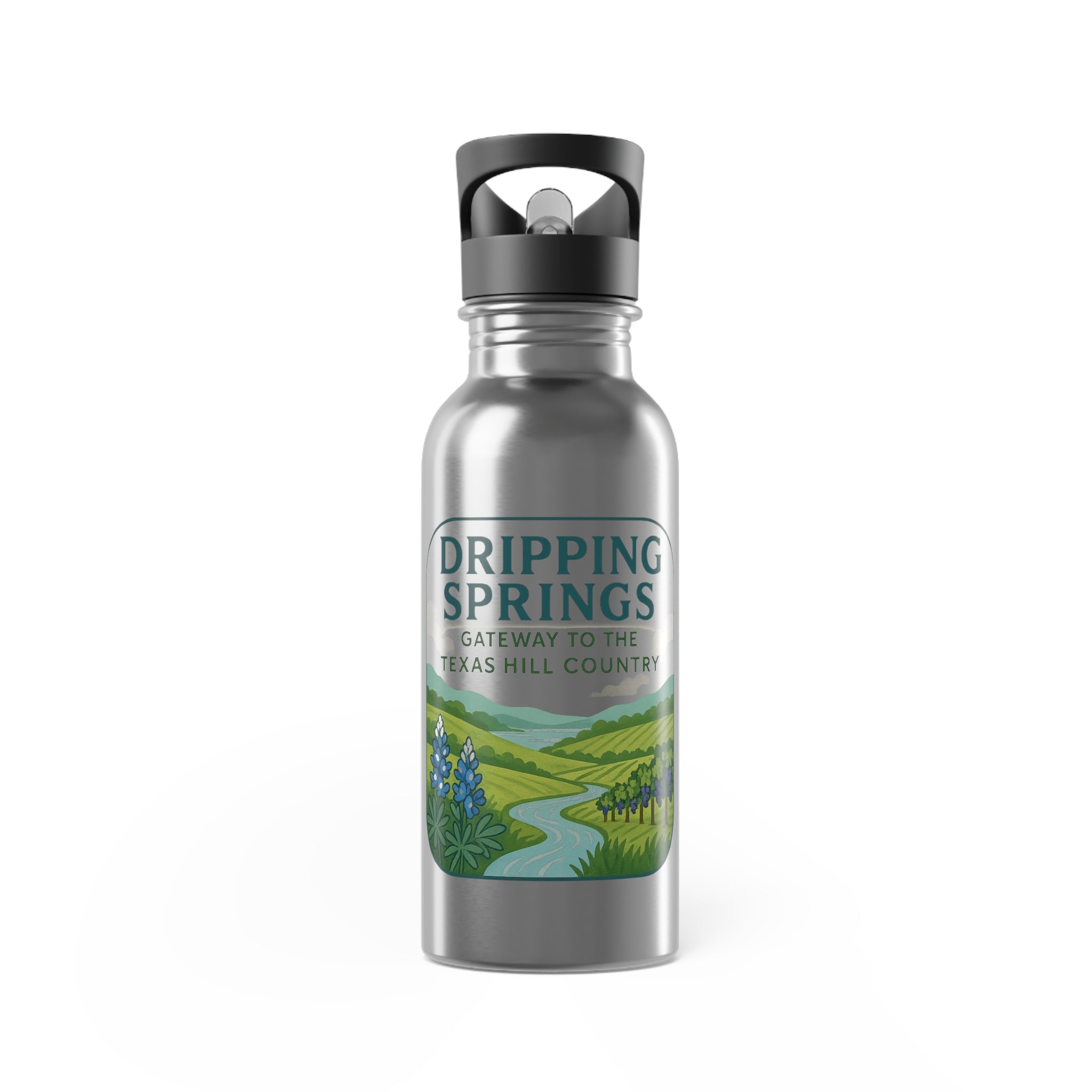 Dripping Springs Stainless Steel Water Bottle With Straw, 20oz